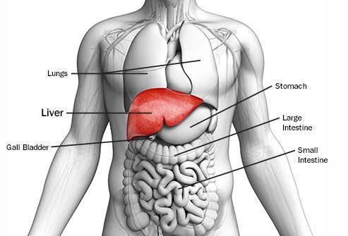 Liver cancer and its treatment in India