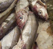 Consumption of Fish May Improve Prostate Cancer Survival